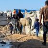 Un grupo de palestinos desplazados, incluidos niños, caminan por un camino fangoso cerca de tiendas improvisadas en la playa de Gaza, con un burro cerca.