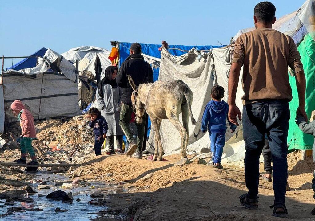 نازحون فلسطينيون مع حمارهم بالقرب من خيام مؤقتة على شاطئ غزة.