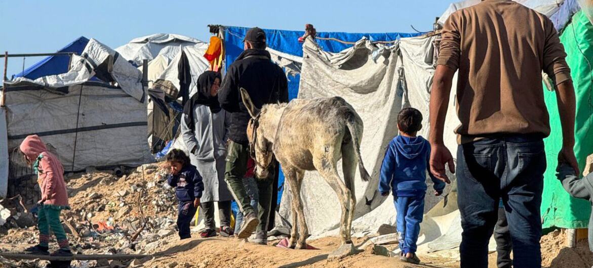 Сцена из повседневной жизни в импровизированном лагере вынужденных переселенцев в Газе. 