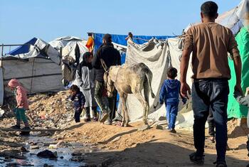Un grupo de palestinos desplazados, incluidos niños, caminan por un camino fangoso cerca de tiendas improvisadas en la playa de Gaza, con un burro cerca.
