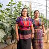 Dos jóvenes agricultoras en un invernadero de producción de verduras en Guatemala.