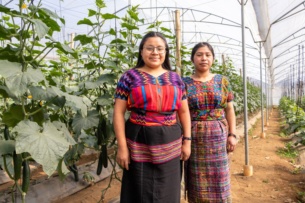 Dos jóvenes agricultoras en un invernadero de producción de verduras en Guatemala.