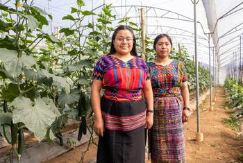 Dos jóvenes agricultoras en un invernadero de producción de verduras en Guatemala.