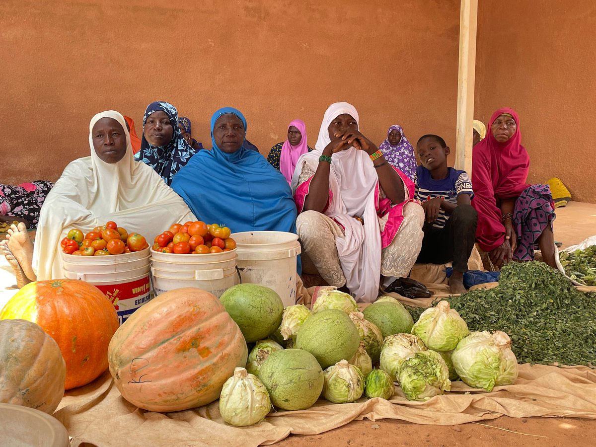 Au Niger, 1,8 million de personnes bénéficient des initiatives intégrées de résilience du Programme alimentaire mondial (PAM)..