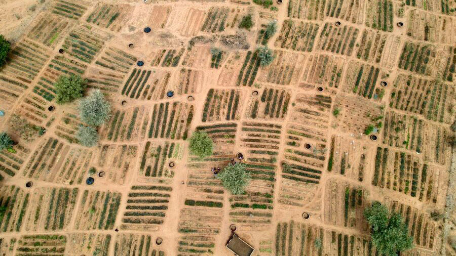Vue aérienne des jardins communautaires soutenus par le PAM dans la région de Tillaberi au Niger, qui font partie d'une initiative plus large et multipartenaires de résilience au Sahel.