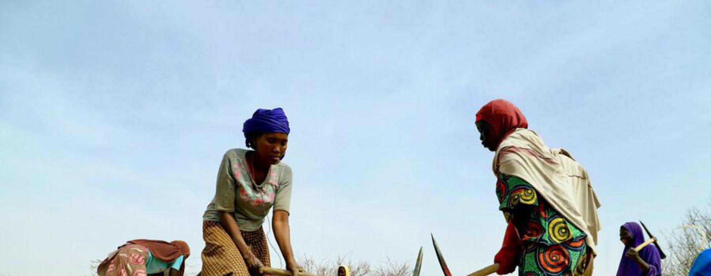 Fraca representação de mulheres que priva metade da população de direitos essenciais na África Ocidental e Sahel