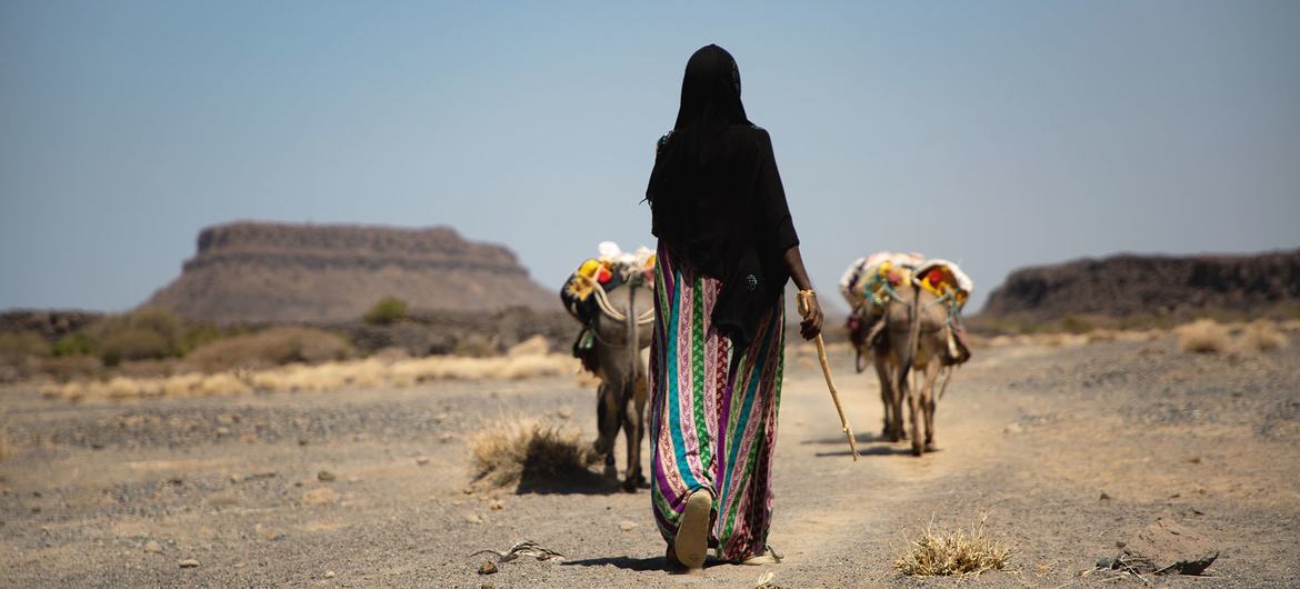El cambio climático en Etiopía está forzando los desplazamientos y la competencia por unos recursos limitados.