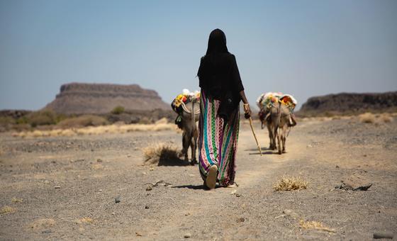 Les chocs climatiques risquent d'aggraver la situation de points chauds déjà fragiles, selon le Conseil de sécurité