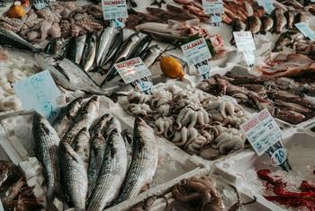 Seafood is put on display at a market in Italy.