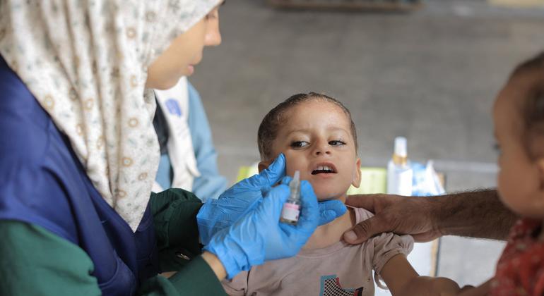 El personal de la UNRWA fue fundamental en la reciente campaña de vacunación contra la polio en Gaza.