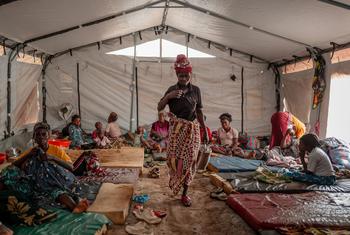 पूर्वी काँगो लोकतांत्रिक गणराज्य में एमपॉक्स से संक्रमित मरीज़ों का उपचार किया जा रहा है. (अगस्त 2024)