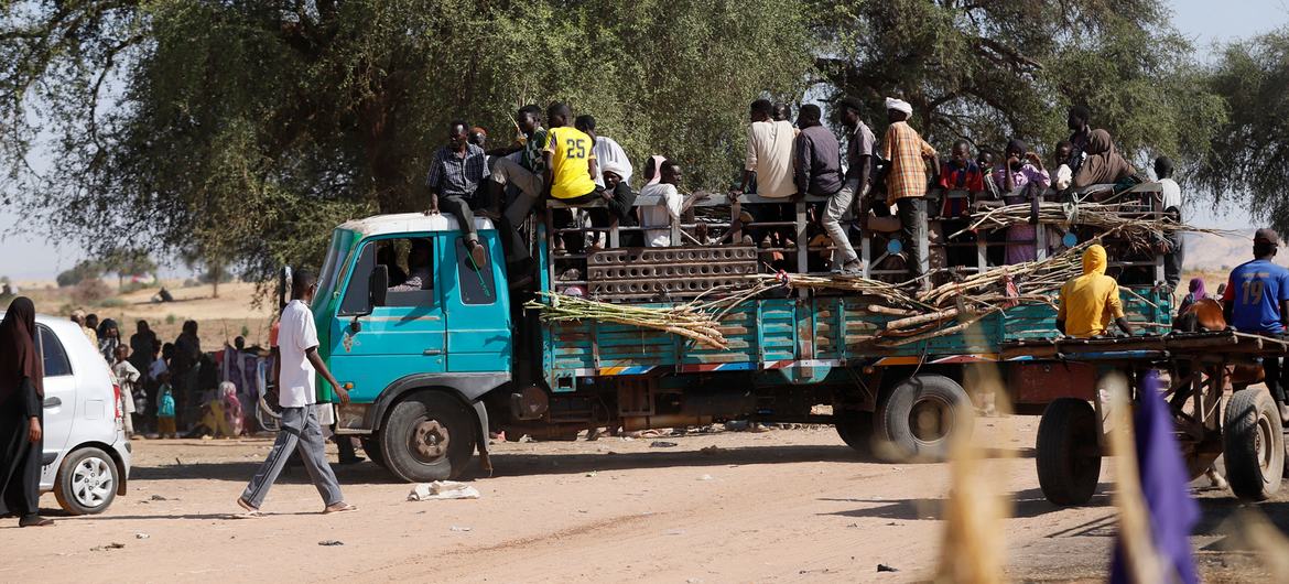 media:entermedia_image:50e9b872-a019-4dc8-9866-f11cb0006216