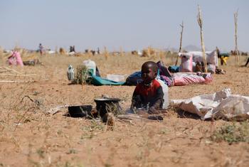 الفاشر سے بھاگ کر تویلا پہنچنے والے ایک خاندان کا بچہ۔