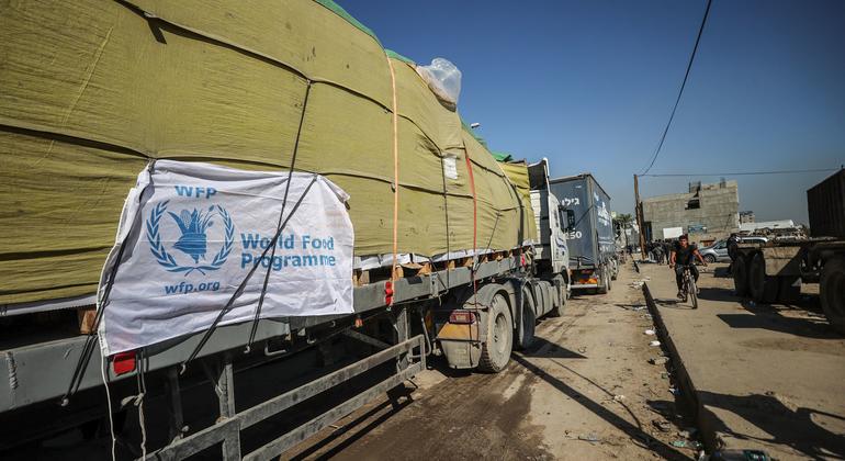Camiones transportan ayuda alimentaria al norte de Gaza durante la reciente pausa humanitaria. 