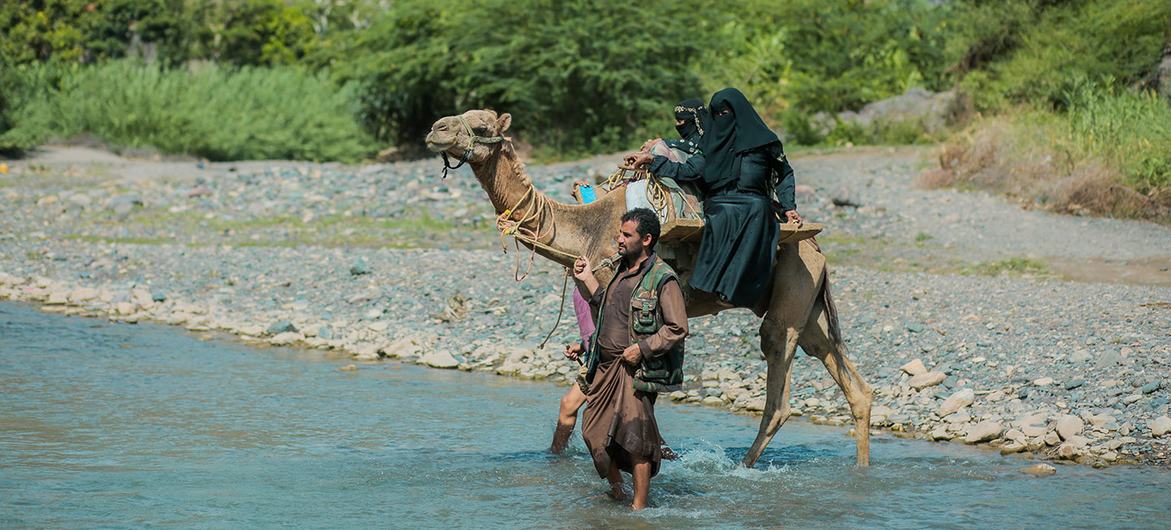 با وجود جاده های کم بین روستاهای کوهستانی یمن، تنها راه برای بسیاری از مردم برای رسیدن به بیمارستان شتر یا پیاده است.