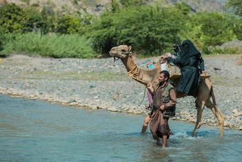 В горных районах Йемена население может добраться до больниц только пешком или на верблюде.