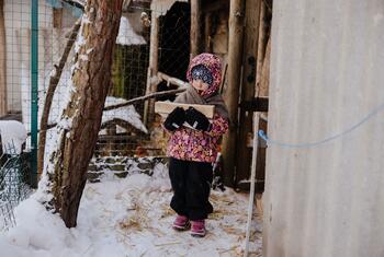 ایلیکا نامی ایک چار سالہ بچی یوکرین کے شہر کیف کے علاقے میں ایک گھر کے باہر برف کے موسم میں آگ لگانے کے لیے لکڑی لے کر جارہی ہے تاکہ میزائل کے حملوں سے بے گھر ہونے کے بعد گرم کرنے کے لیے لکڑی سے چلنے والے چولہے کو روشن کرنے میں مدد کرے۔