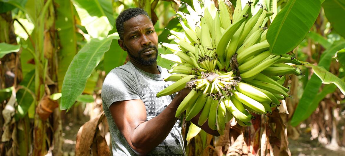 Shockwaves of Middle East war reach Caribbean as food prices soar