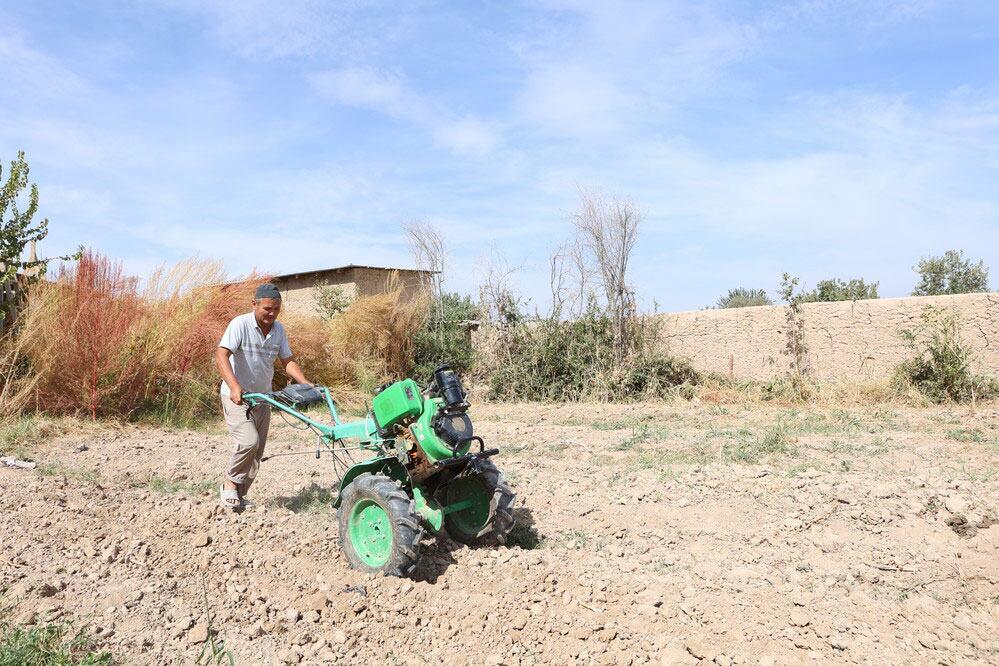 Crops and livestock are under growing strain as heatwaves intensify across key agricultural regions. (file photo)