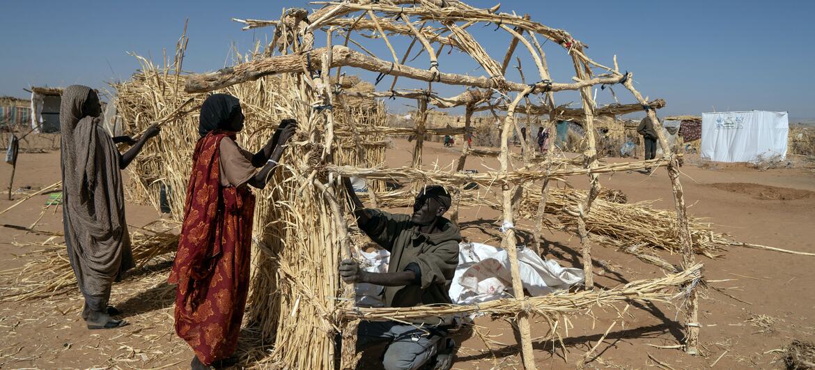 نازحون سودانيون يبنون مأوى من القش في مخيم بمدينة تاويلا، شمال دارفور، السودان.