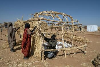 نازحون سودانيون يبنون مأوى من القش في مخيم بمدينة تاويلا، شمال دارفور، السودان.