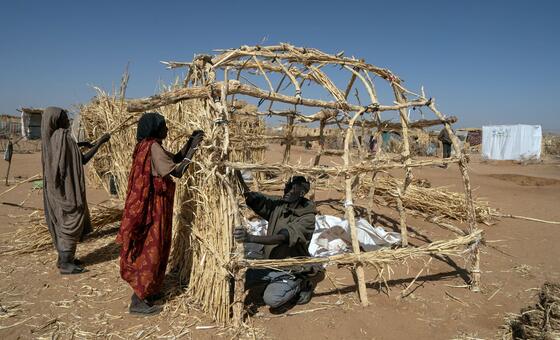 أشخاص فروا من منازلهم يبنون مأوى في مخيم للنازحين في طويلة، دارفور.