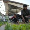 Mohammad, un père déplacé à Gaza, s'occupe de son potager à côté de son abri avec sa fille.