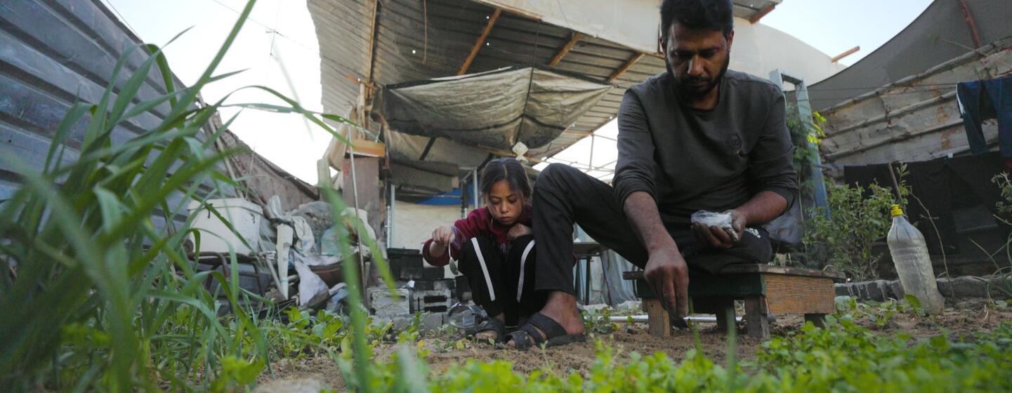 Mohammad, un père déplacé à Gaza, s'occupe de son potager à côté de son abri avec sa fille.