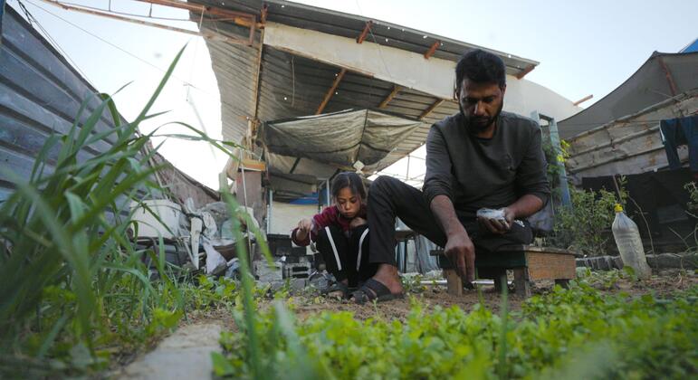 un.org - Gaza: Only three per cent of cropland available to grow food
