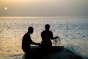 Seules 30 % des cibles fixées pour l’ODD 14 sur la préservation des océans sont en bonne voie ou progressent modérément, selon un nouveau rapport de l'ONU.