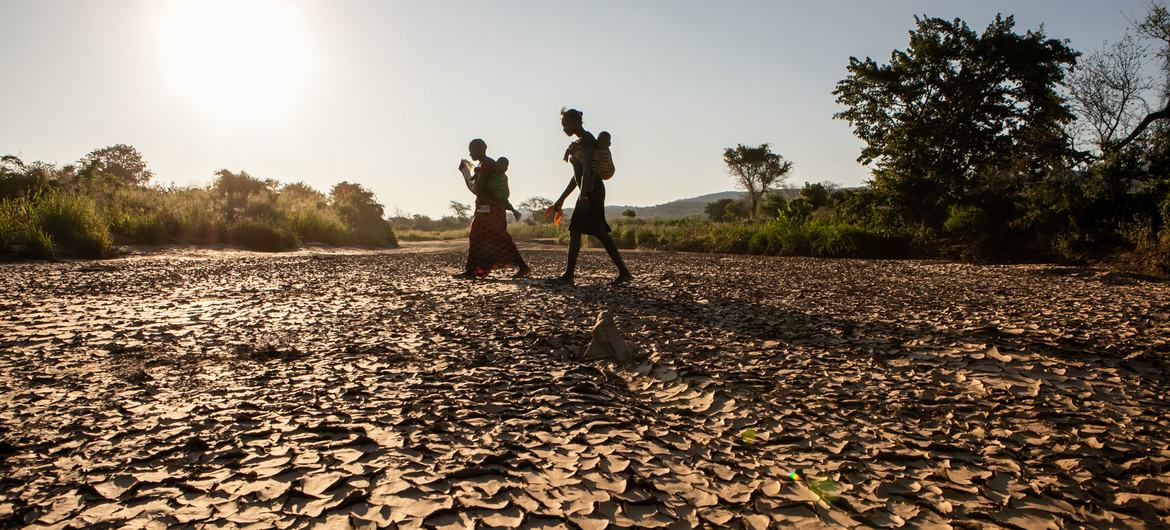أدت ظروف الجفاف في عدد من المناطق حول العالم ومنها زامبيا ما أدى إلى تضرر  المحاصيل الزراعية الأمر الذي  أثر على صحة الناس.