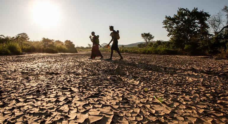 As condições de seca na Zâmbia levaram ao fracasso das colheitas, o que teve impacto na saúde das pessoas