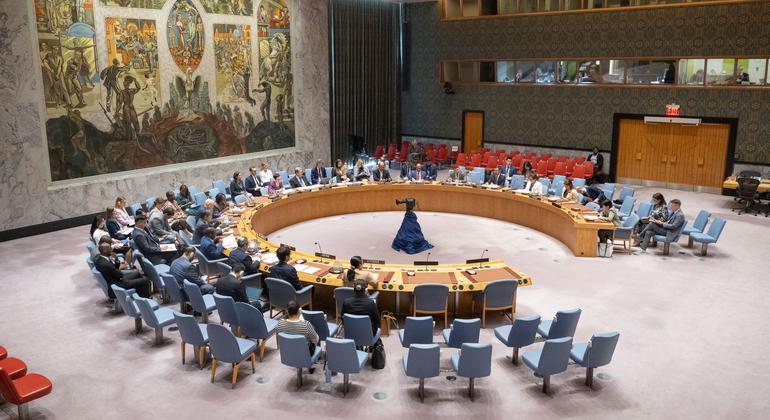 Una visión amplia de la Sala del Consejo de Seguridad de la ONU mientras sus miembros se reúnen para discutir las amenazas a la paz y la seguridad internacionales.