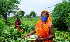 भारत में यूनीसेफ़ समर्थित ग्रामीण विकास कार्यक्रम के तहत ग्रामीण महिलाएँ सब्ज़ियों का उत्पादन करती हुईं.