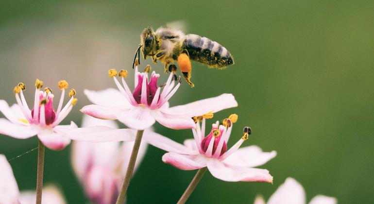 Value of nature must not be overridden by pursuit of short-term profit