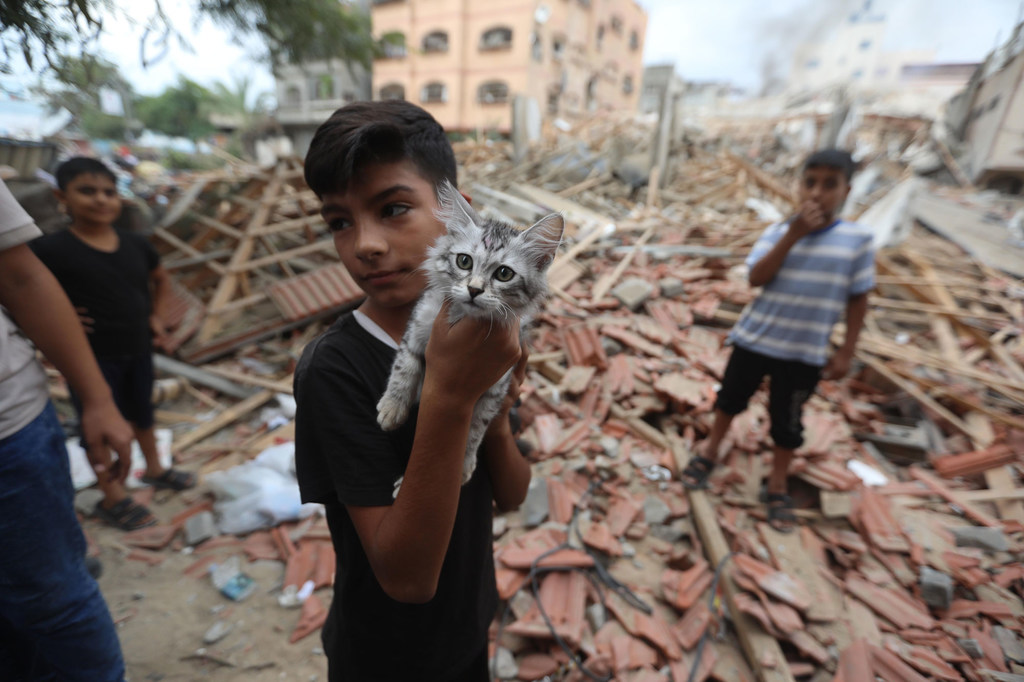 Un garçon de cinq ans tient son chat dans ses bras au milieu des décombres de sa maison à Gaza.