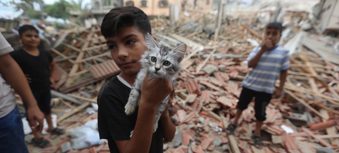 Un garçon de cinq ans tient son chat dans ses bras au milieu des décombres de sa maison à Gaza.