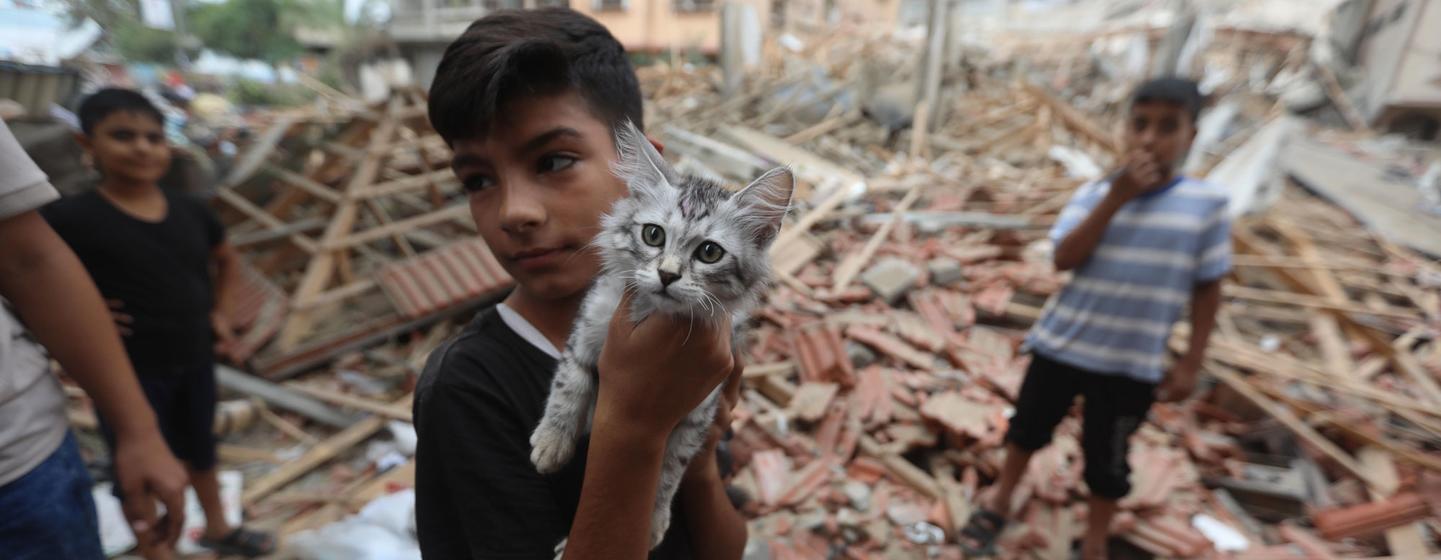 在加沙，一名五岁男孩在他的家的废墟中救起了小猫。
