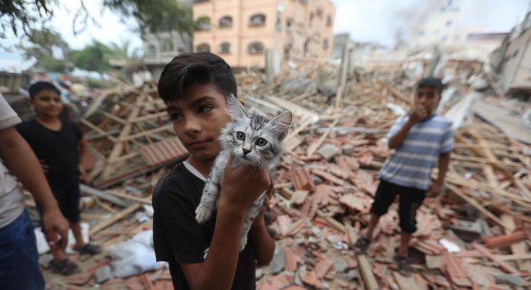 Um menino de cinco anos segura seu gato em meio aos destroços de sua casa em Gaza
