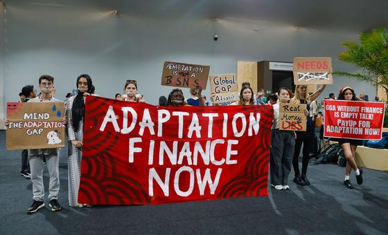 Des participants à la Conférence des Nations Unies sur le climat appellent à un financement accru pour que les pays puissent s'adapter aux nouvelles conditions climatiques.