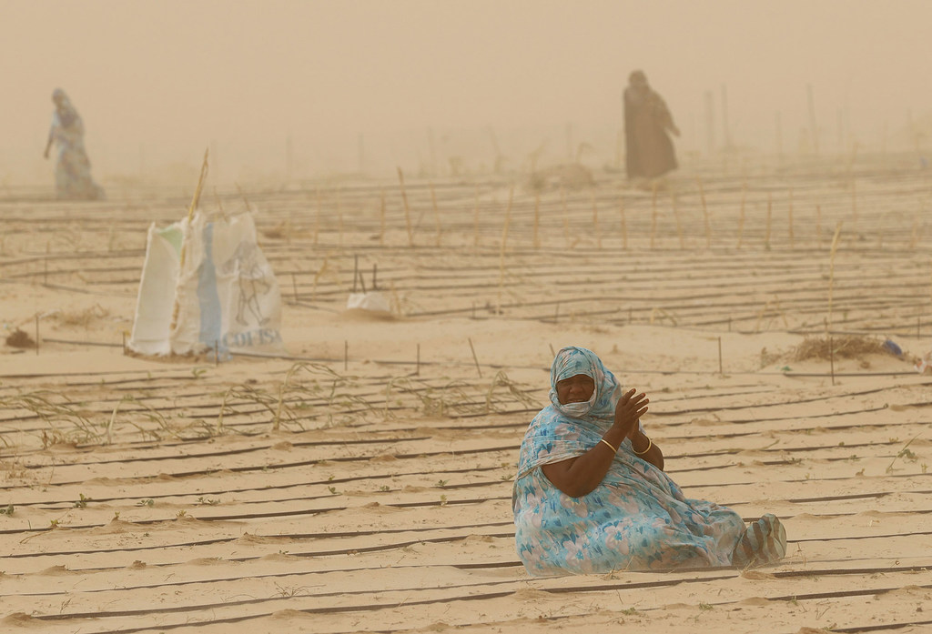 El cambio climático ha dificultado la vida de las mujeres agricultoras en los últimos años.