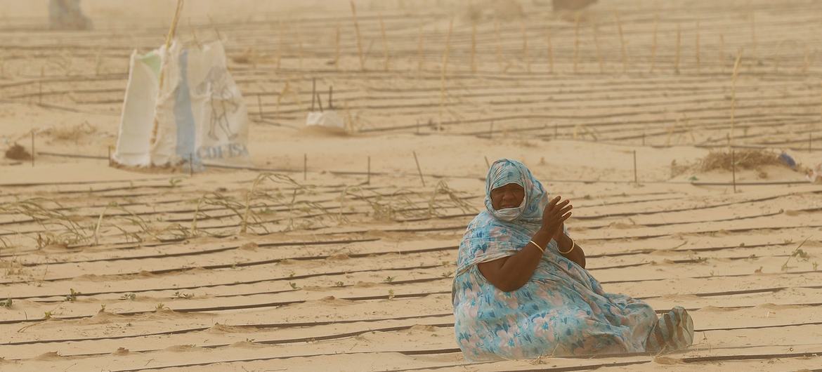 A mudança climática tornou a vida das mulheres agricultoras mais difícil nos últimos anos