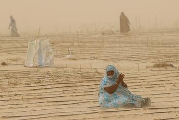 近年来，气候变化使女性农民的生活更加艰难。