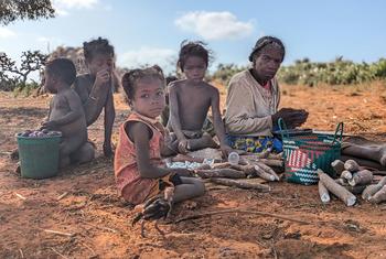 Una abuela prepara yuca para dar de cenar a sus nietos en Madagascar.