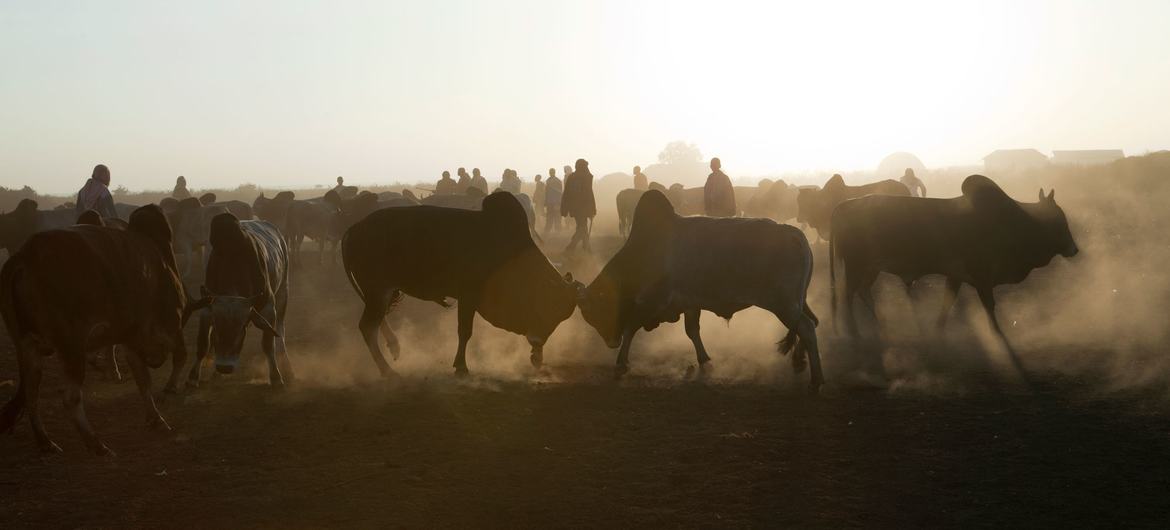 media:entermedia_image:d949a007-cbd3-4e36-81a5-b2d5a65d89ca