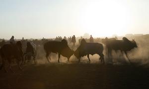 media:entermedia_image:d8b41857-52f1-4352-871a-6600e9ef0a26
