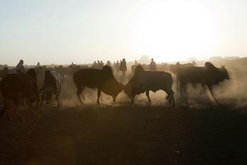 media:entermedia_image:d949a007-cbd3-4e36-81a5-b2d5a65d89ca