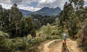 A woman carries goods through Uluguru Nature Forest Reserve in Morogoro, Tanzania.