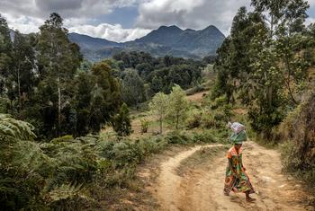 Uma mulher transporta mercadorias através da Reserva Florestal Natural de Uluguru, em Morogoro, Tanzânia.
