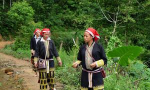 Members of the ethnic Dao minority in Lao Cai Province, Viet Nam, go into the forest to pick and gather medicinal herbs and plants.